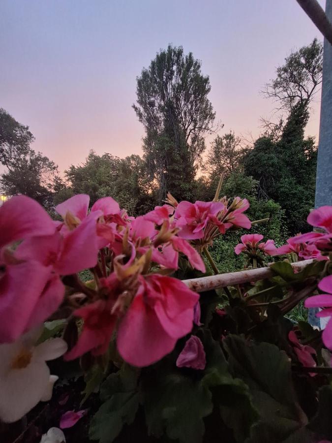 Villa Ella Ohrid Bagian luar foto