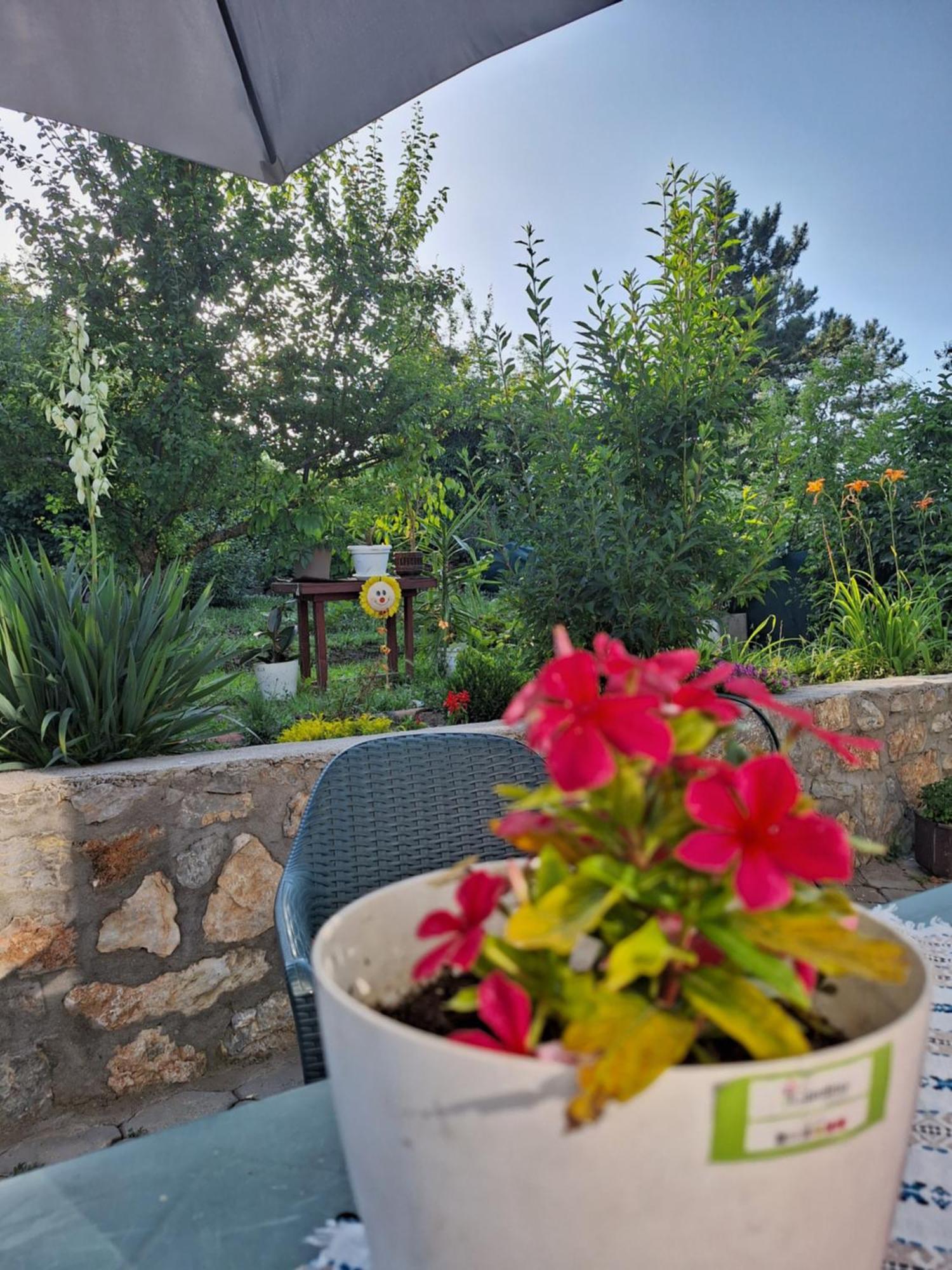 Villa Ella Ohrid Bagian luar foto